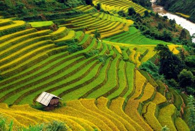 choisir meilleur saison voyager au Vietnam